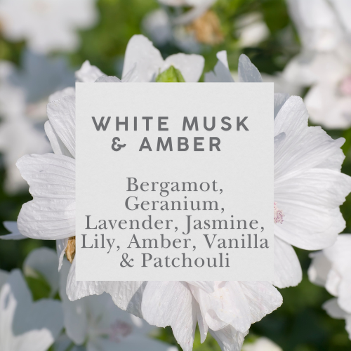 White Musk & Amber Room Spray