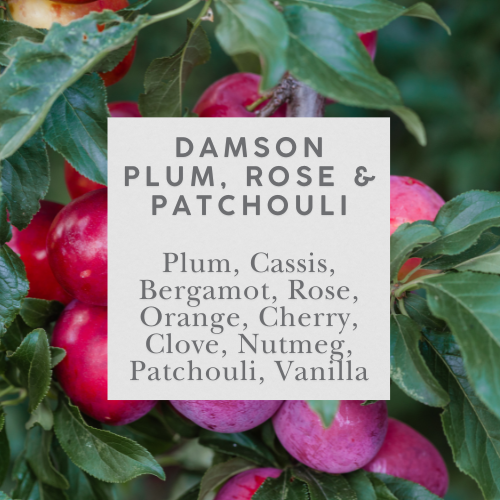 Damson Plum, Rose & Patchouli Hand Lotion