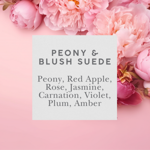 Peony & Blush Suede Candle